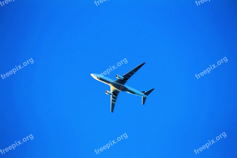 Fly Airplane Aircraft Sky Jet