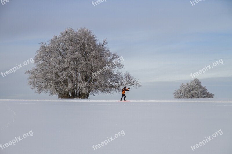 Cross-country Skiing Winter Landscape Cross Country Skiing Wintry