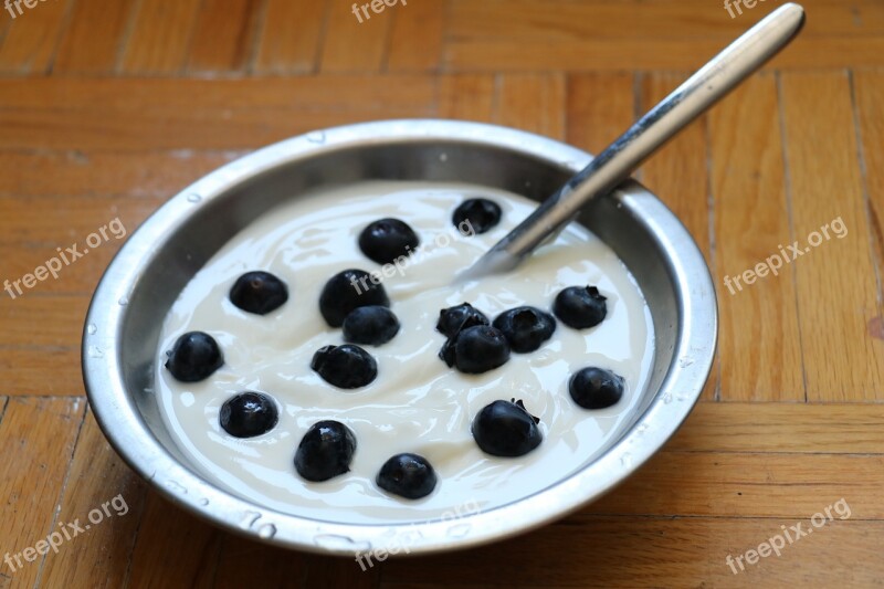 Food Yogurt Snack Drink Blueberry