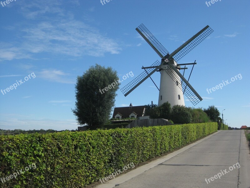 Wind Mill Summer Landscape Mill Blue Sky