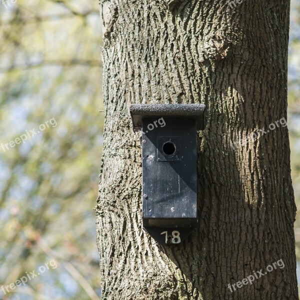 Nest Box Birdhouse Forest House Nature