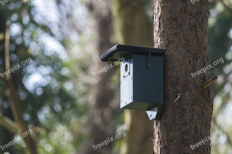 Nest Box Birdhouse Forest House Nature