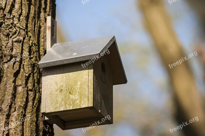 Nest Box Birdhouse Forest House Nature