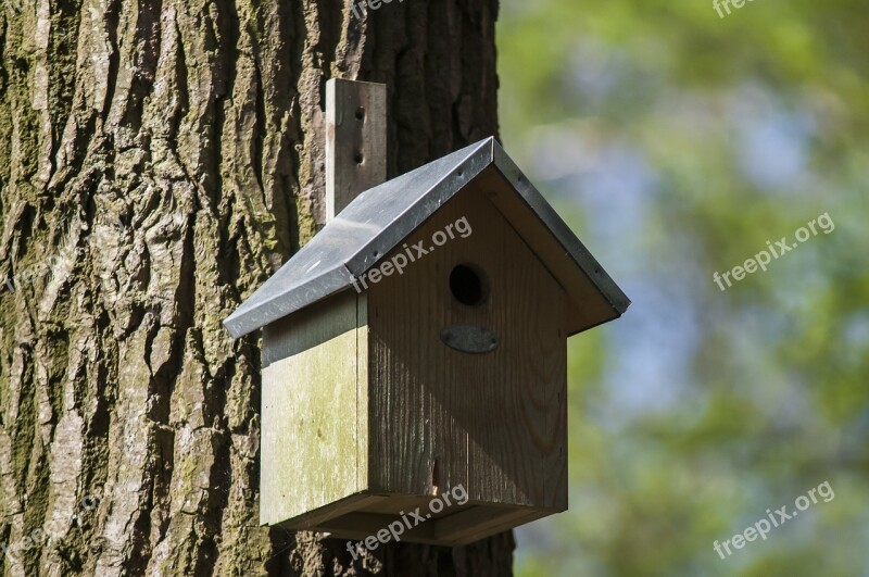 Nest Box Birdhouse Forest House Nature