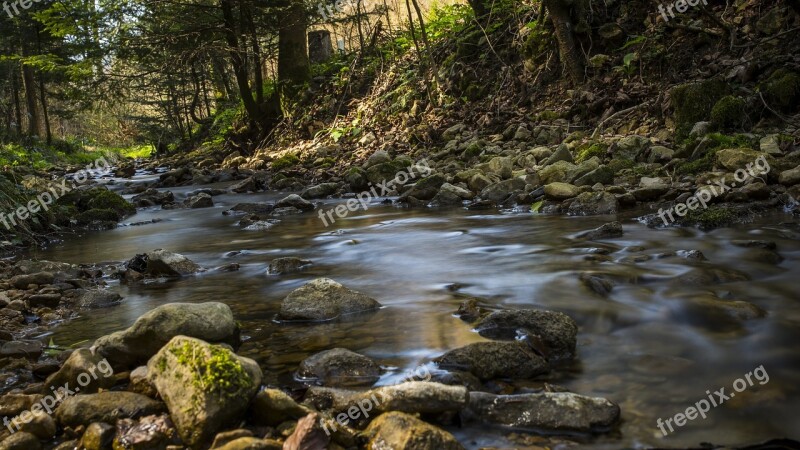 Bach Forest Water Landscape Water Surface