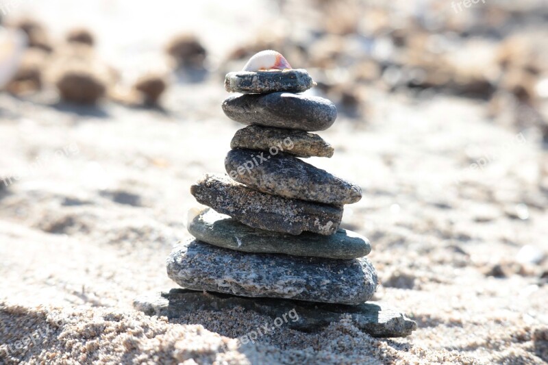 Beach Stones Shells Sand Sea