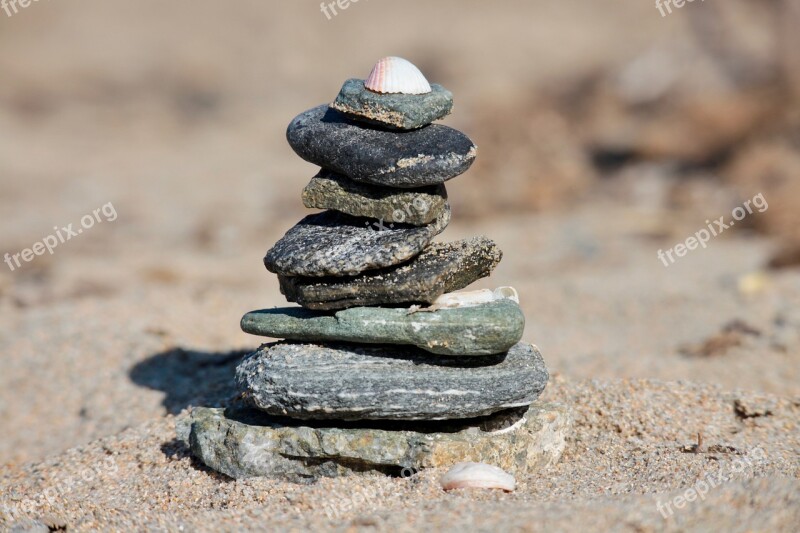 Beach Stones Shells Sand Sea