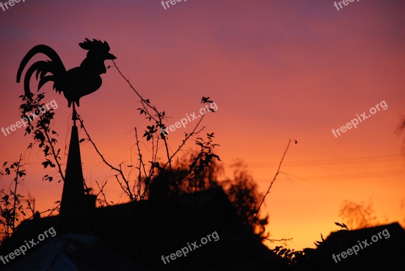 Weather Vane Red Sky Backlighting Sky Hahn