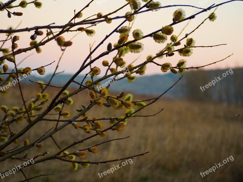 The Basis Of Easter Holidays Easter Symbol Decoration Spring