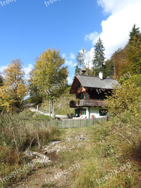 Hut Forest Alone Wood Log Cabin