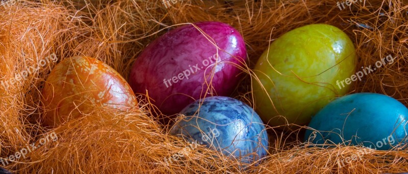 Easter Easter Eggs Holiday Spring Egg