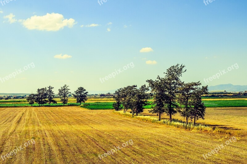 Landscape Rural Countryside Field Trees