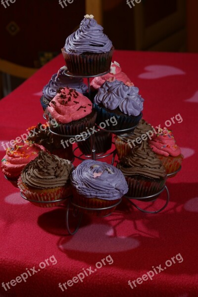 Muffin Cookie Chocolate Cake Free Photos