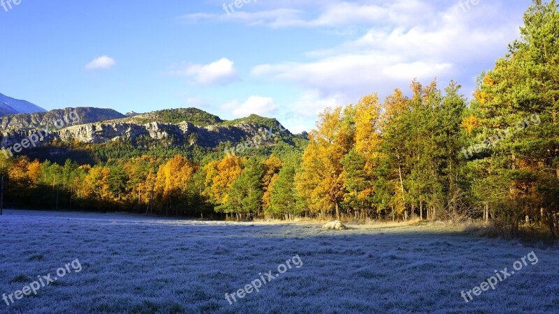 Prado Trees Forest Landscape Prairie