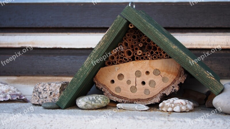 Insect Hotel Bees Wild Bees Ecology Urban