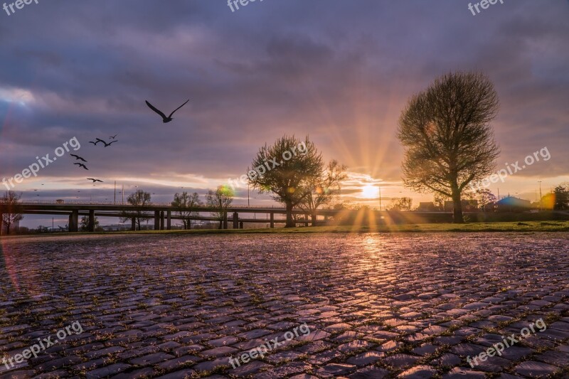 Düsseldorf Oberkassel Rhine Knee Bridge Spring Backlighting