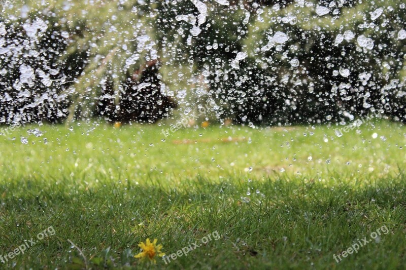 Water Watering Drop Wet Water Drop