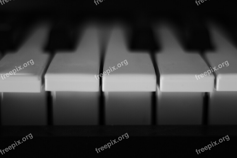 Piano Keys White Music Strum