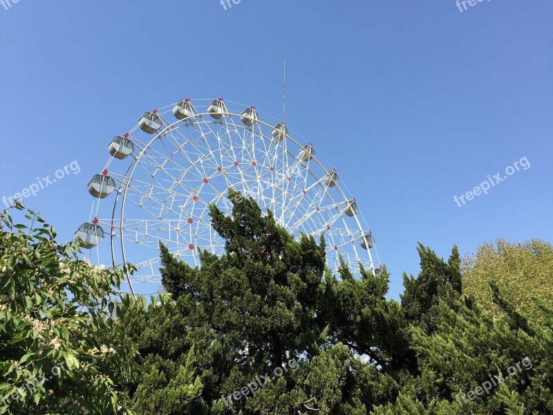 The Ferris Wheel Blue Sky Grove Free Photos