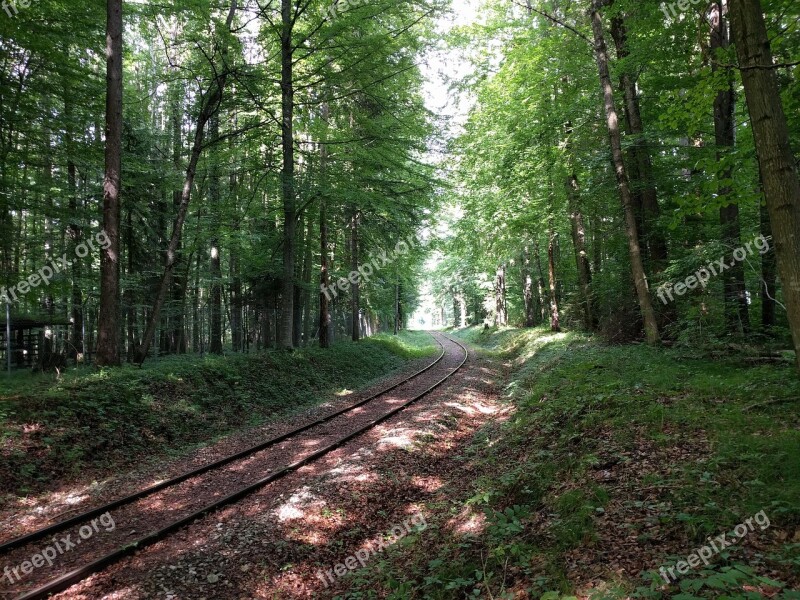 Railway Abandoned Forest Railway Rails Track