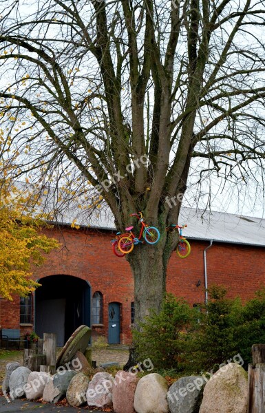 Tree Bicycles Child's Bike Farm Free Photos