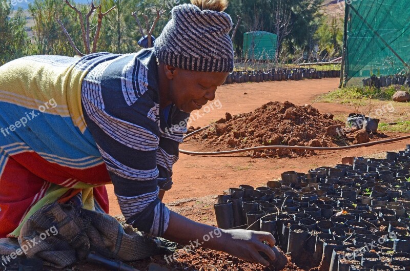 Lesotho Work Horticulture Malealea Woman