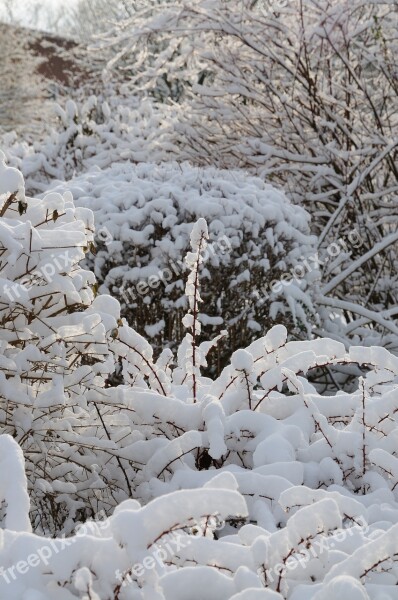 Winter Snow Landscape Nature Cold