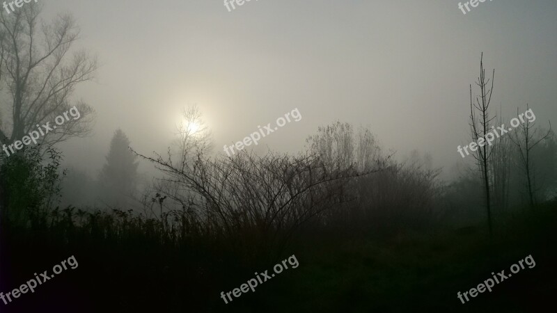 The Fog The Sun Landscape Nature Morning