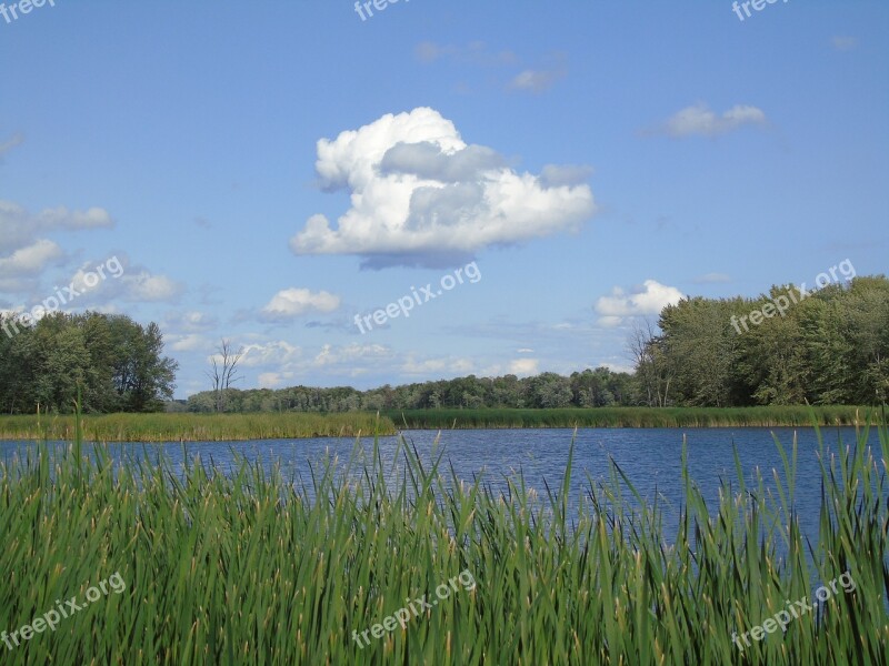 Pond Marsh Cloud Nature Water