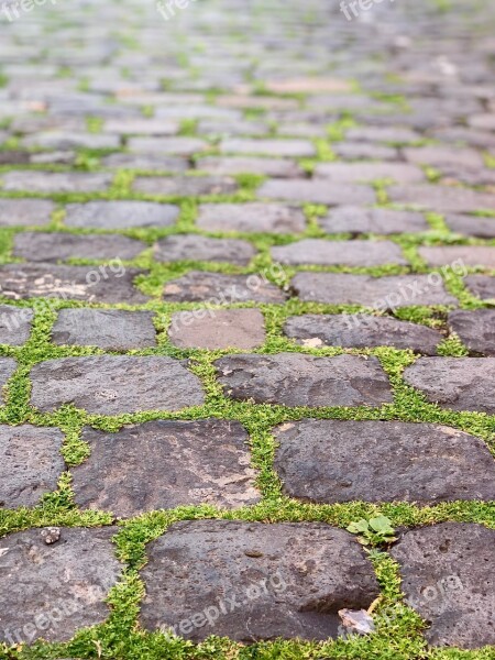 Tenerife Garachico Architecture Stone Cobble