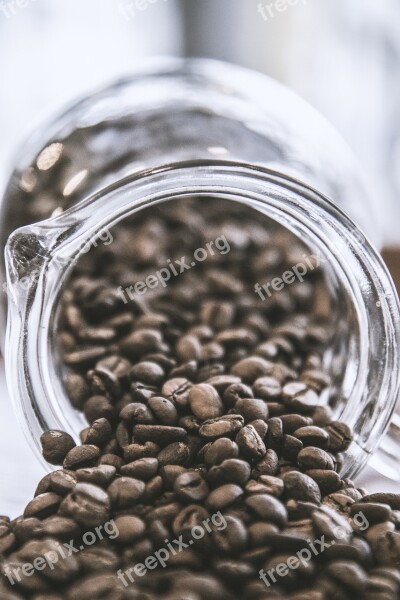 Coffee Seeds Seed Brown Cup