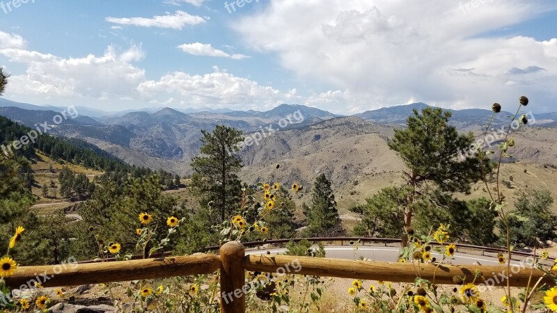 Colorado Golden Mountains Wildflowers Lookout