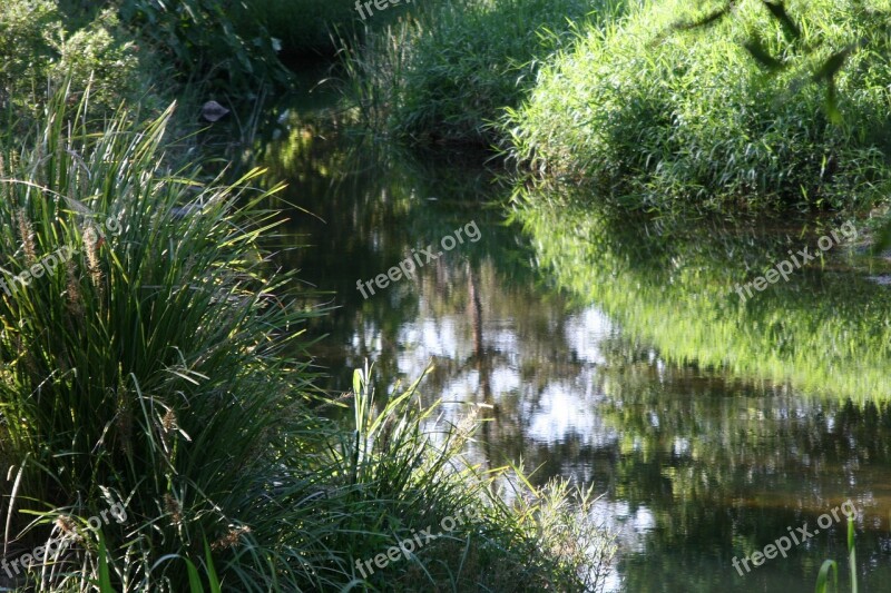 Stream Meander Australia Reflection Water