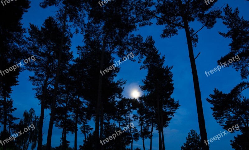 Moon Nature Night Sky Landscape