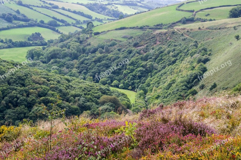 Exmoor Landscape England Nature Somerset