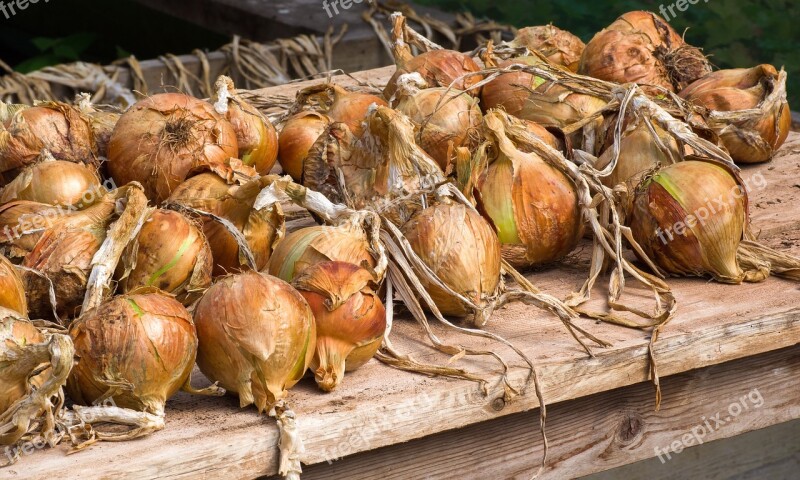 Onions Vegetables Food Healthy Fresh