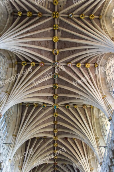 Exeter Cathedral Vaulted Ceilings United Kingdom England