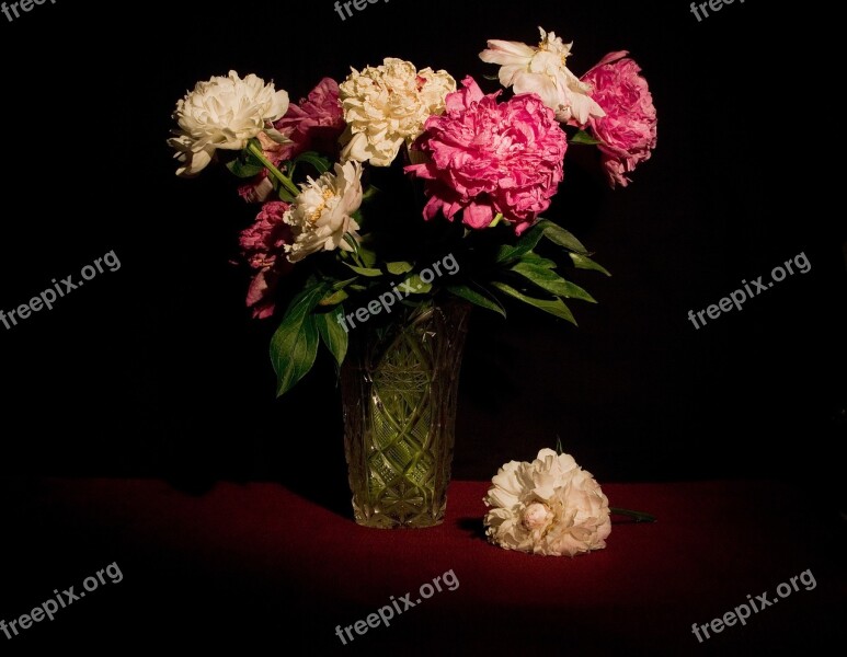 Still Life Flowers Peonies Flower Decoration