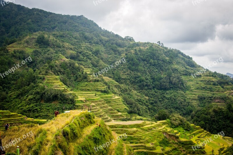 Philippines Rice Terraces Banaue Free Photos