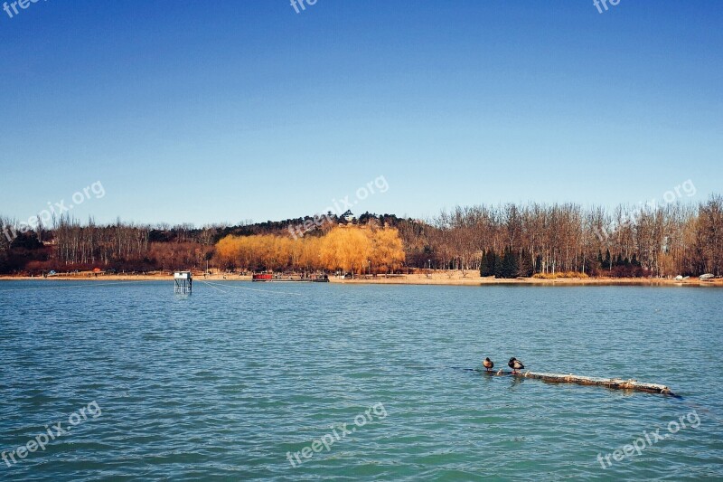 River River Banks Bird Natural The Scenery