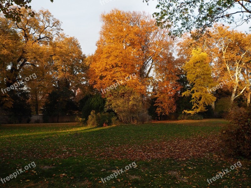 Park Autumn Potsdam Leaves Nature