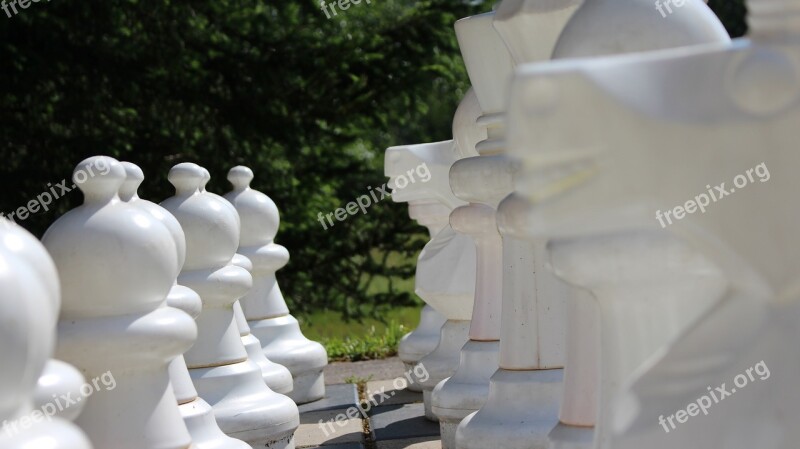 Chess Chess Board Park Xxl Board Game