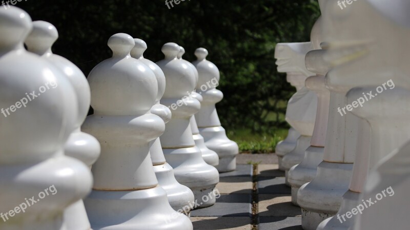 Chess Chess Board Park Xxl Board Game