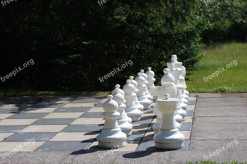 Chess Chess Board Park Xxl Board Game