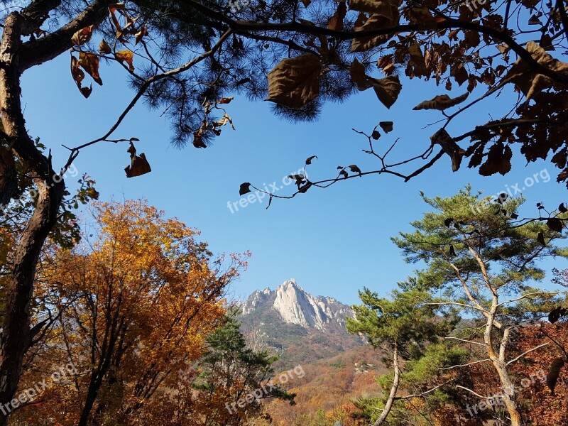 Dobong Autumn Is Also The Backyard Dobong-san In The Background Free Photos