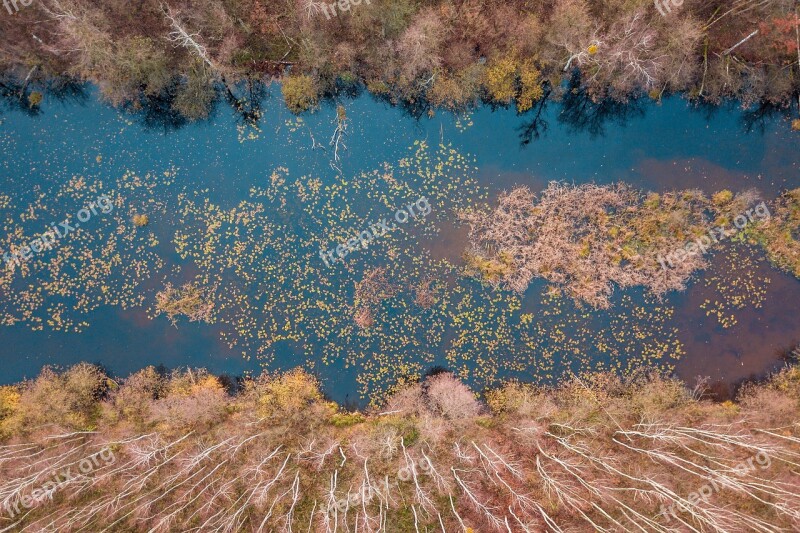 Forest Way Tree Autumn Lake