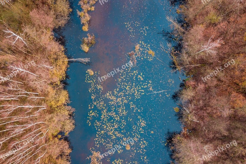 Forest Way Tree Autumn Lake