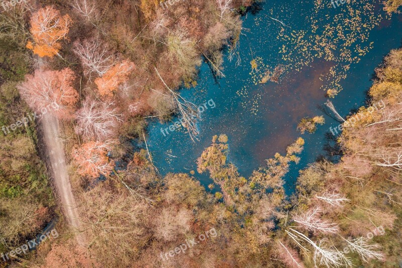 Forest Way Tree Autumn Lake