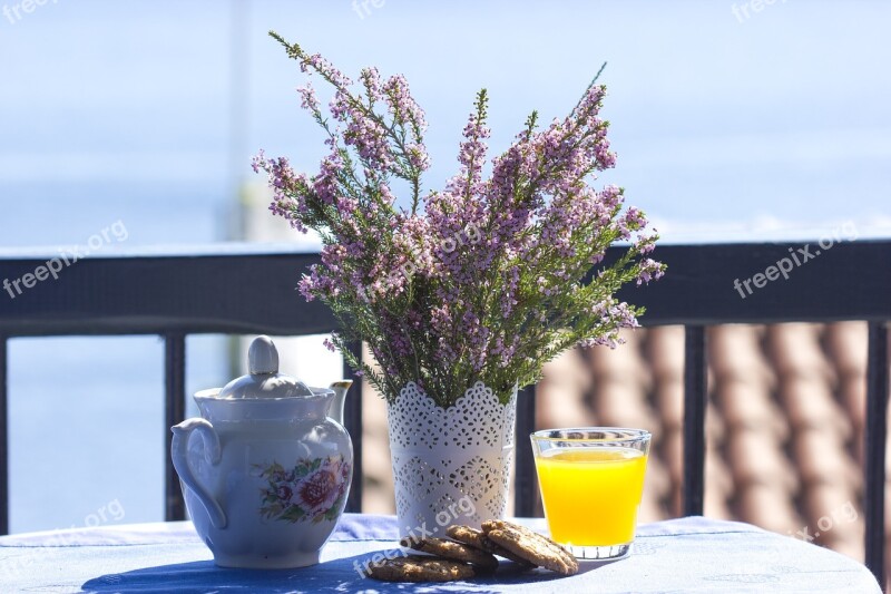 Vacation Greece Nature Sea Juice