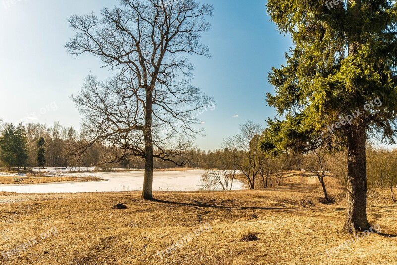 Spring Gatchina Beauty Nature Landscape